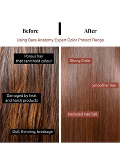 BARE ANATOMY Hair Colour Protect Shampoo, Retains Colour Upto 8 Weeks, Repairs Damage With Amino Acid & Quinoa Protein For Dry & Frizzy Coloured Hair For Unisex, 250Ml  - Image 5