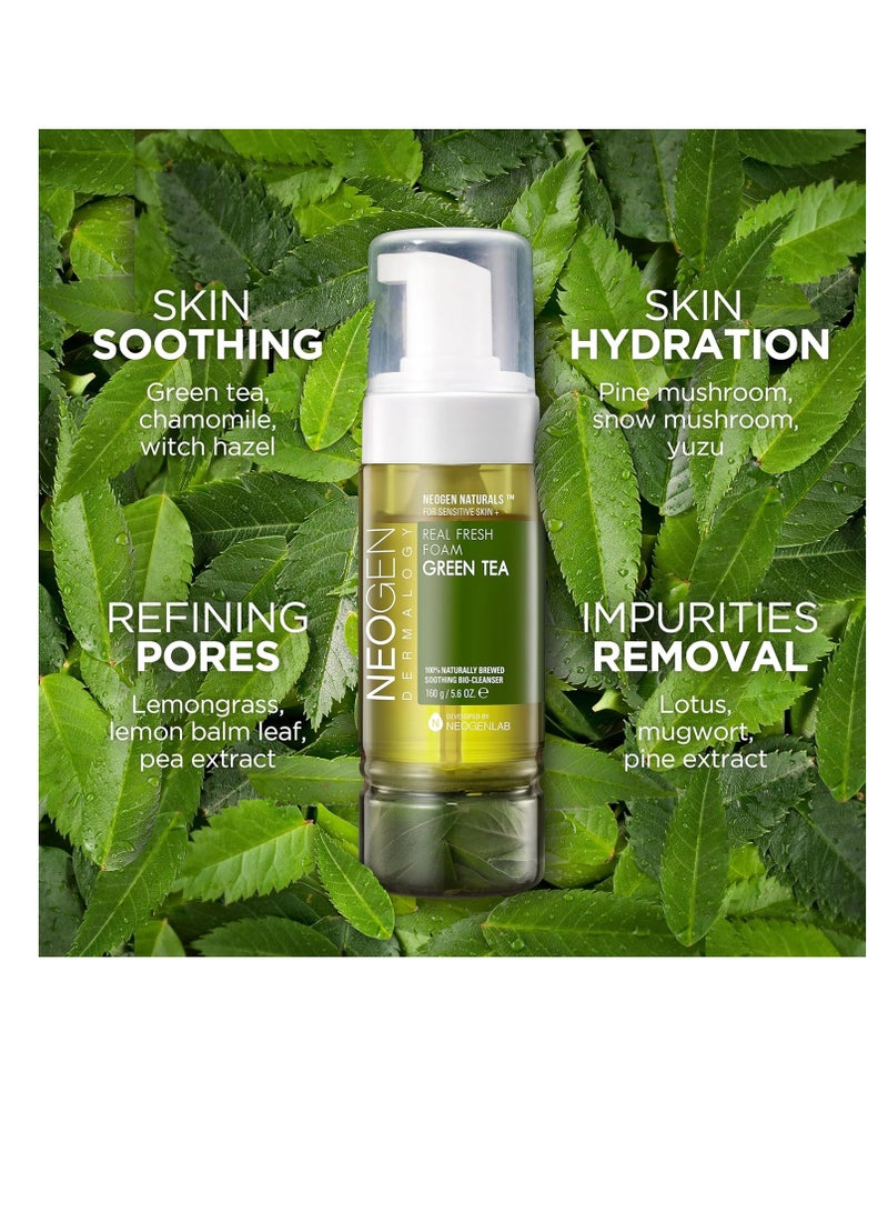 DERMALOGY by NEOGENLAB Real Fresh Foam Cleanser, Green Tea 5.6 Fl Oz (160g) - Soothing & Hydrating Gentle Cleansing Foam with Real Green Tea, Clean Beauty - Korean Skin Care - Image 2