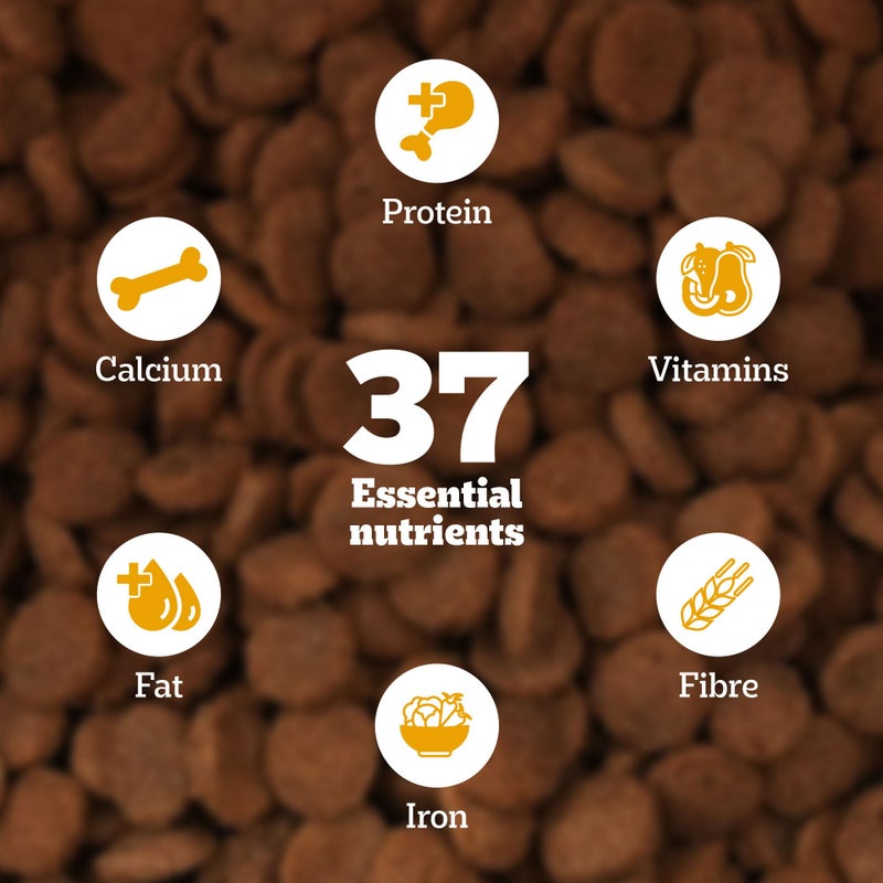 Pedigree طعام جاف للكلاب الجراء من بيديجري، دجاج وحليب، 3 كجم، يحتوي على 37 عنصر غذائي أساسي، طعام متكامل ومتوازن 100% للجراء - Image 4