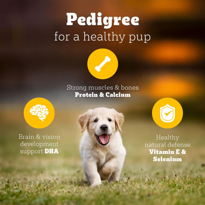 Pedigree طعام جاف للكلاب الجراء من بيديجري، دجاج وحليب، 3 كجم، يحتوي على 37 عنصر غذائي أساسي، طعام متكامل ومتوازن 100% للجراء - Image 3