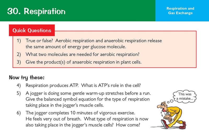 Edexcel International GCSE Biology: Revision Question Cards - Image 3
