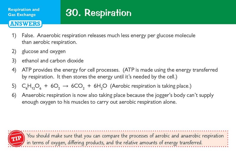 Edexcel International GCSE Biology: Revision Question Cards - Image 4
