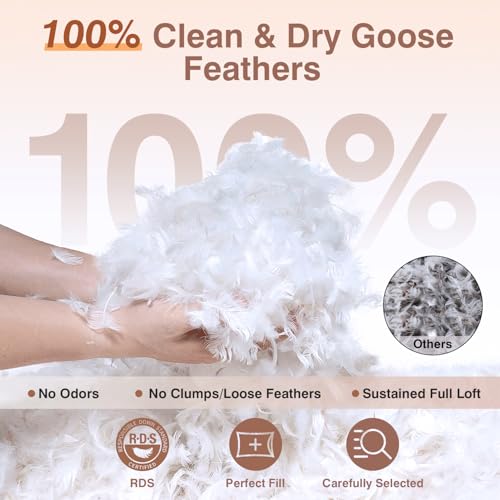 zibroges Goose Feather Pillows Bed Pillow - Hotel Down Pillows Queen Size Set of 2, Fluffy Support Surround Fill Polyester for Back, Stomach, Side Sleepers - Image 2
