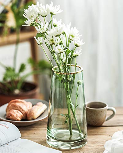 FUNSOBA Green Glass Flower Vase with Gold Mouth for Centerpieces Home Wedding Decoration (1, Small) - Image 3