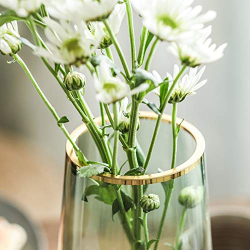 FUNSOBA Green Glass Flower Vase with Gold Mouth for Centerpieces Home Wedding Decoration (1, Small) - Image 4