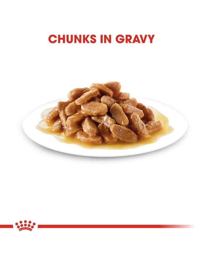 ROYAL CANIN حجم صحة التغذية ماكسي جرو (طعام رطب - أكياس) 10 × 140 جرام - Image 2