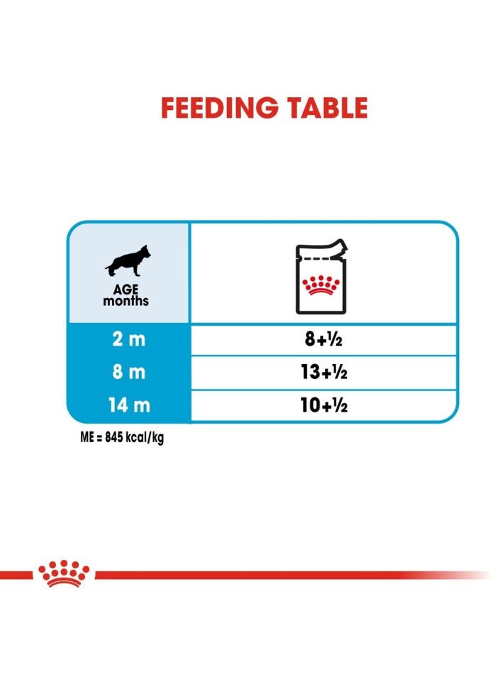 ROYAL CANIN حجم صحة التغذية ماكسي جرو (طعام رطب - أكياس) 10 × 140 جرام - Image 3