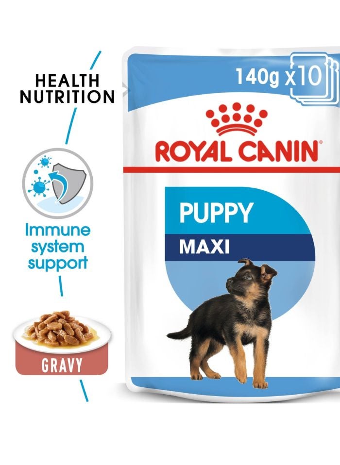 ROYAL CANIN حجم صحة التغذية ماكسي جرو (طعام رطب - أكياس) 10 × 140 جرام - Image 1