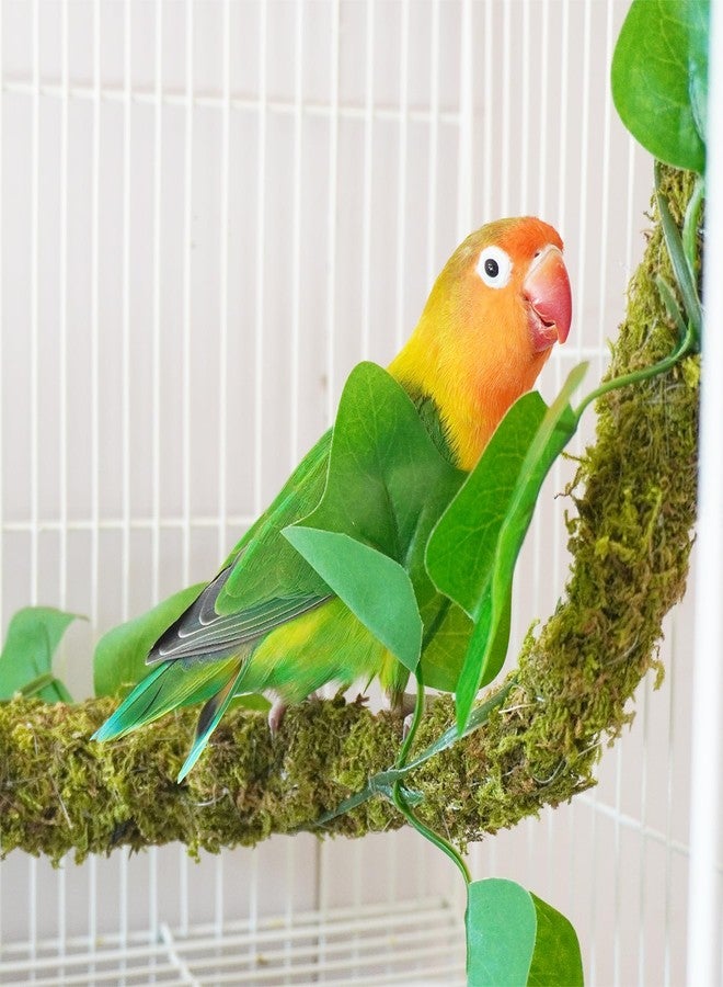 Begeterday 25 Inch Bendable Bird Perches, Bird Toys, Ideal Bird Cage Accessories - Image 2