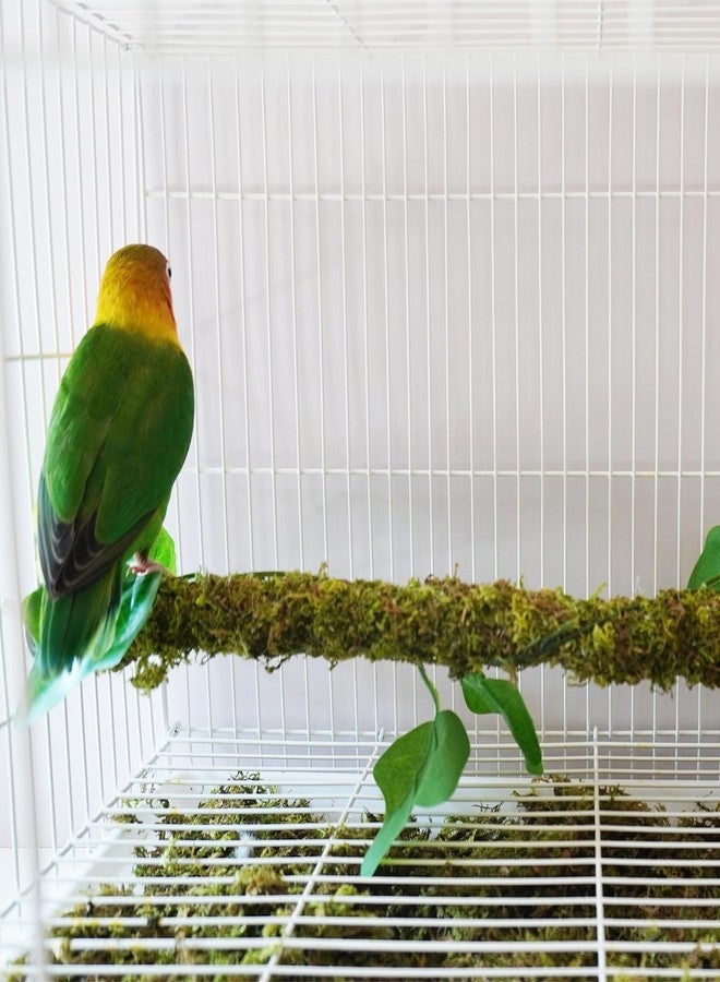 Begeterday 25 Inch Bendable Bird Perches, Bird Toys, Ideal Bird Cage Accessories - Image 4