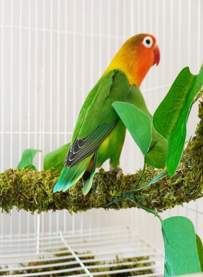 Begeterday 25 Inch Bendable Bird Perches, Bird Toys, Ideal Bird Cage Accessories - Image 3