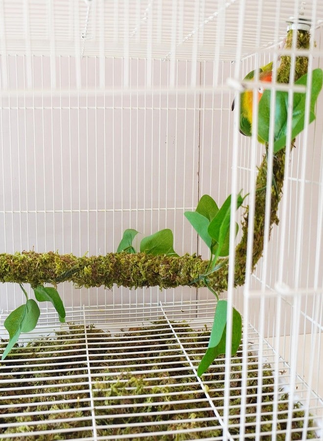 Begeterday 25 Inch Bendable Bird Perches, Bird Toys, Ideal Bird Cage Accessories - Image 5