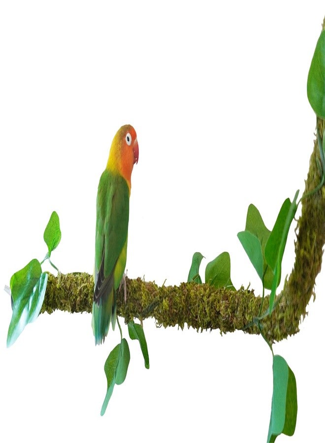 Begeterday 25 Inch Bendable Bird Perches, Bird Toys, Ideal Bird Cage Accessories - Image 1