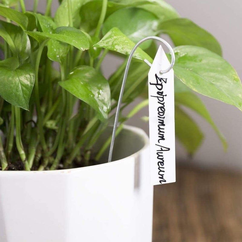 YaeCCC 1000 Pcs 4 Inches Plant Labels Plastic Plant Tags Nursery Garden Labels Pot Marker Garden Stake Tags for Fruit Trees, Flowers, Shrubs, etc - Image 4