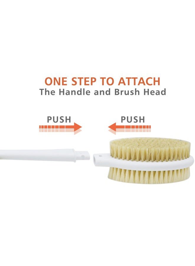 HONOMA Shower Brush with Soft and Stiff Bristles,20.5" Extra Long Handle Dual-Sided Back Scrubber Bath Brush Body Exfoliator for Wet or Dry Brushing (Extra Long Handle) - Image 4