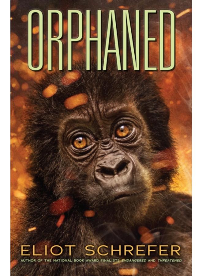 Orphaned (Ape Quartet #4) : 4 