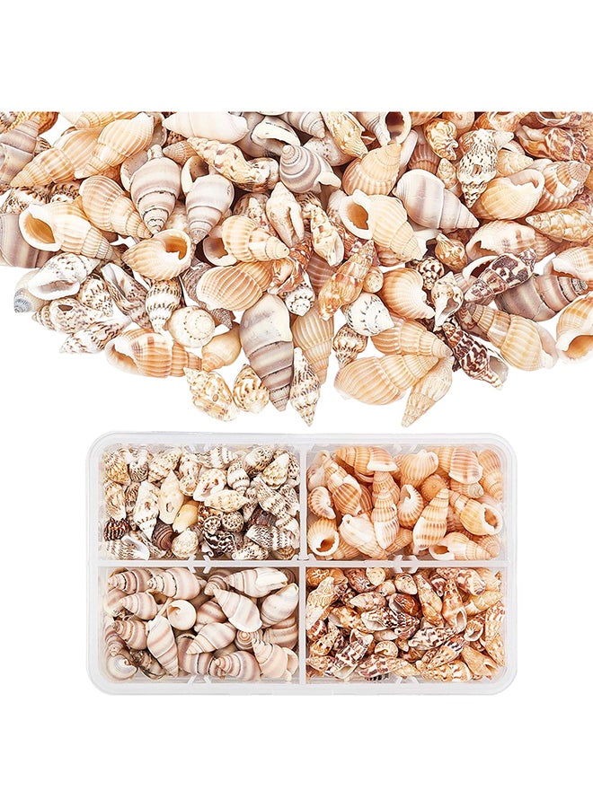 PH PandaHall Pandahall حوالي 70 جرام/330 قطعة 4 أنماط من الأصداف الحلزونية على شكل محارة شاطئ المحيط مع فتحة وبدون فتحة لسوار المجوهرات الحرفية وديكور المنزل وخزان الأسماك وحشو المزهرية 