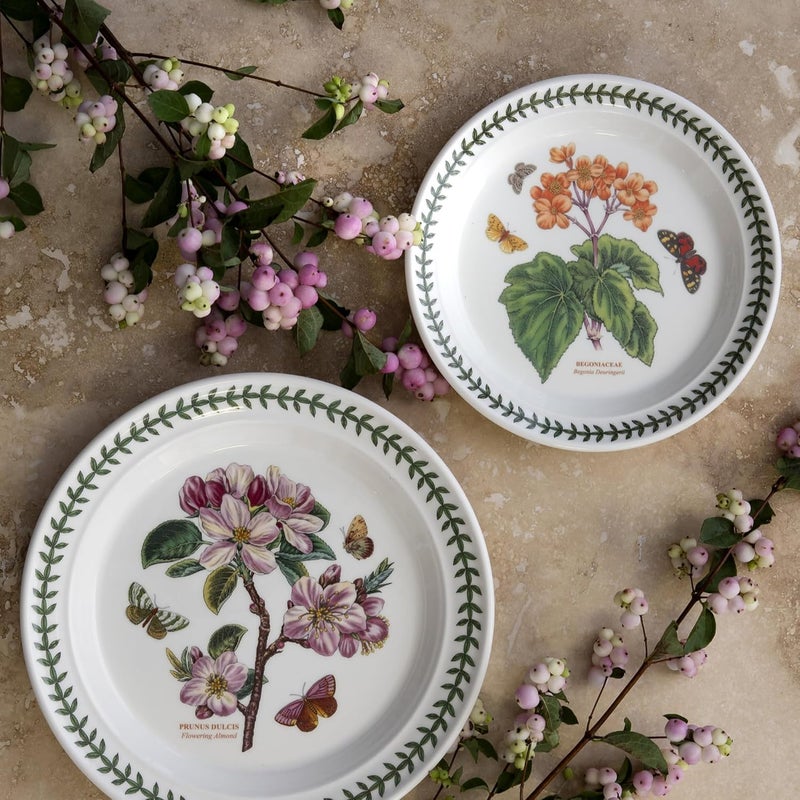 Spode Spode Botanic Garden 85 Salad Plate  Begonia Motif  Fine Earthenware  Chip Resistant Glaze  Microwave Dishwasher and Freezer Safe Made in England  - Image 3