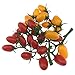 Gresorth 2 Pack Lifelike Artificial Cherry Tomatoes Faux Fake Cherries Home House Kitchen Cabinet Decor (Red + Yellow) - Image 2