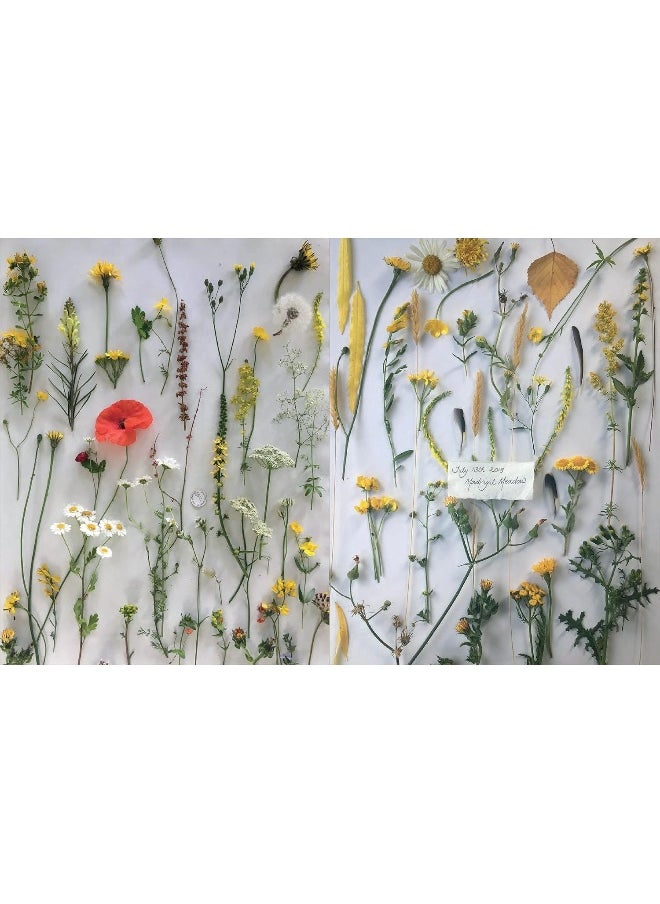 The Nature of Creativity: A Mindful Approach to Making Art & Craft