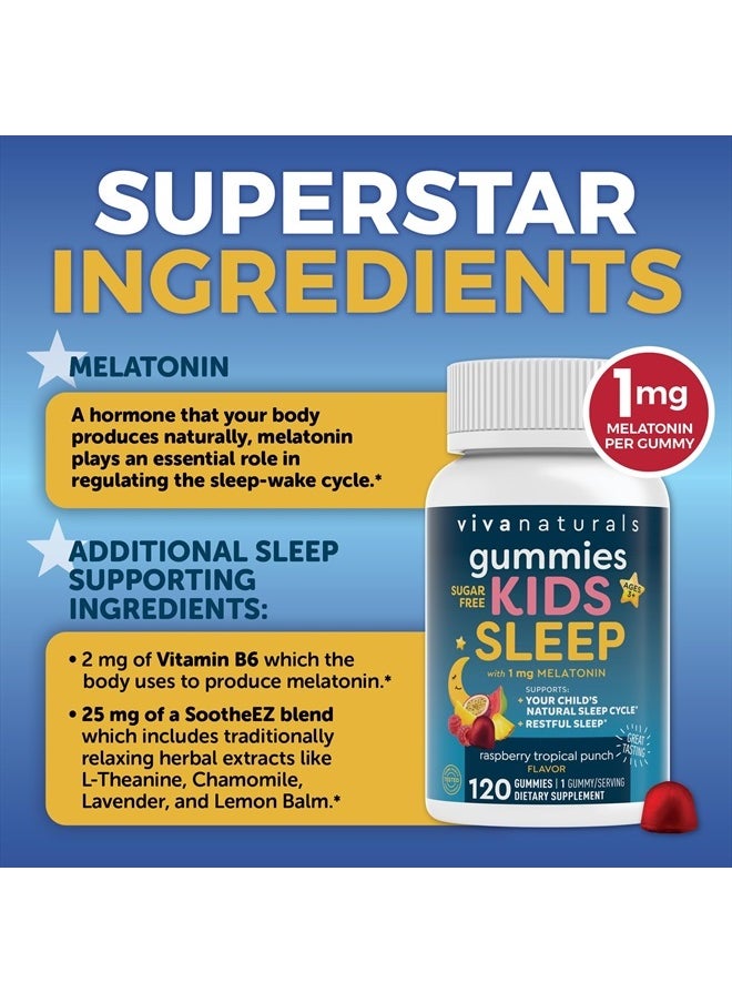 Viva Naturals - Kids Sleep Melatonin 1 mg - Raspberry Tropical Punch 120 Gummies - Image 1