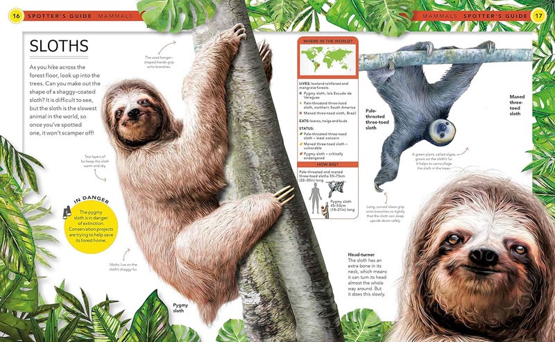 Jungle Animals: A Spotters Guide - Image 2