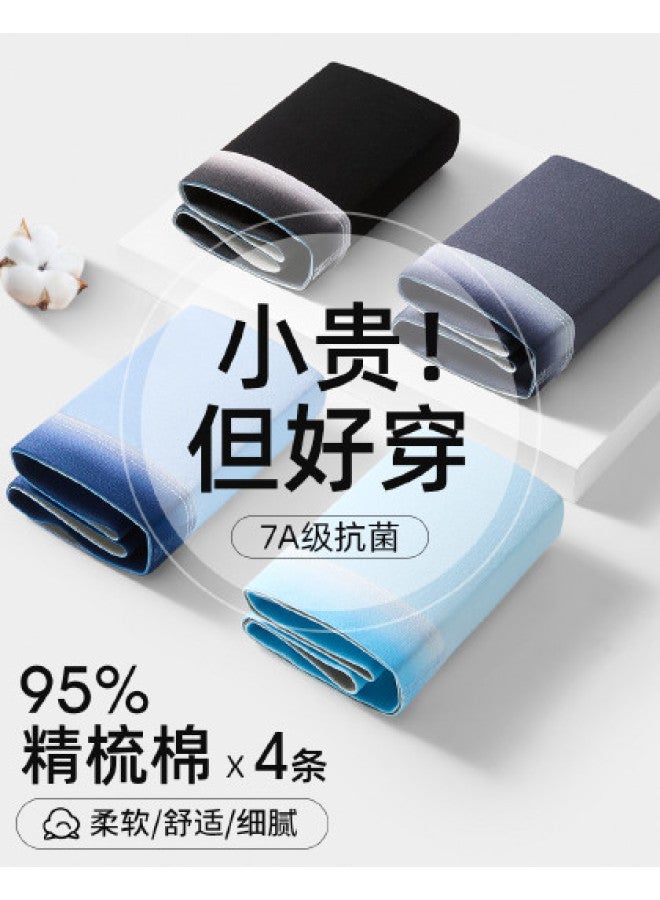 Fenton 4-pack Gradient Color Trendy Men's Underwear - Premium Light Luxury Briefs - Image 1