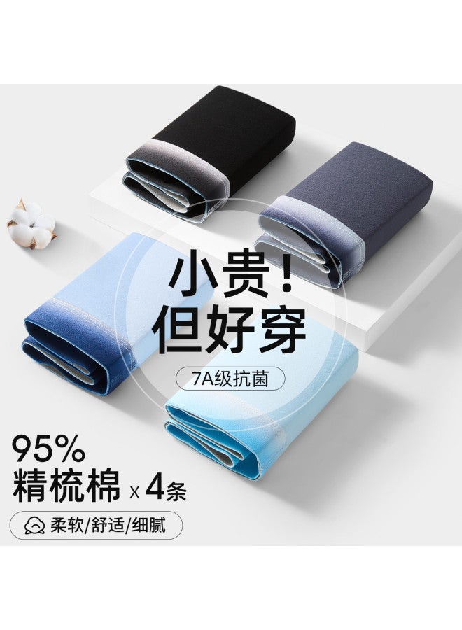 Fenton 4-pack Gradient Color Trendy Men's Underwear - Premium Light Luxury Briefs - Image 2