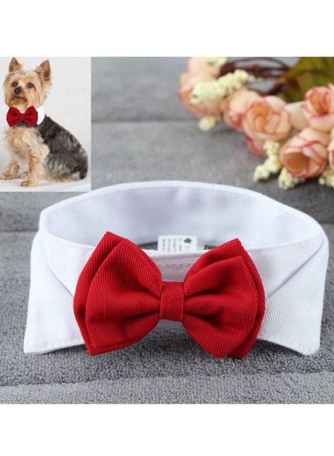 Cool Baby Adjustable Pet Collar With Bow White/Red - Image 3