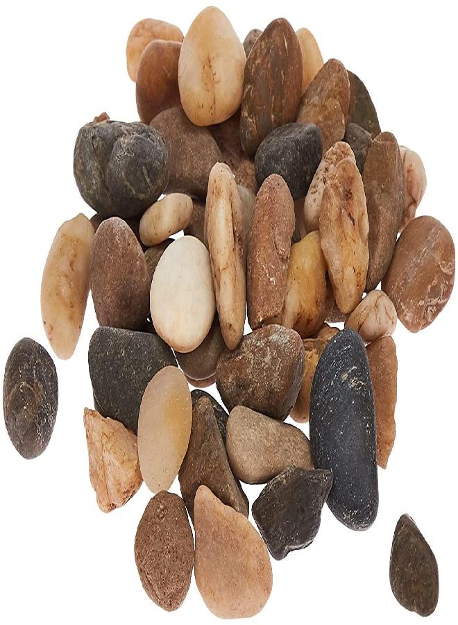 Super Z Outlet Mini Assorted Garden Beach Stone Rocks Pebbles Aquarium Lake Collection for Outdoor & Indoor Home Garden Decoration, Arts & Crafts Projects, Party Favors, Invitation (1 Pound Bag) - Image 4