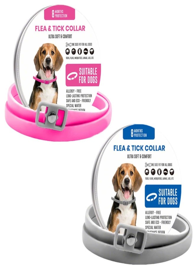 CartHome طوق مضاد للقراد للكلاب، طوق مضاد للقراد، طوق مضاد للقراد للكلاب، متين ومقاوم للماء، مناسب للاستخدام اليومي والأنشطة الخارجية للحيوانات الأليفة، مناسب كهدية لمحبي الحيوانات الأليفة (لونان، مقاس متوسط) - Image 1