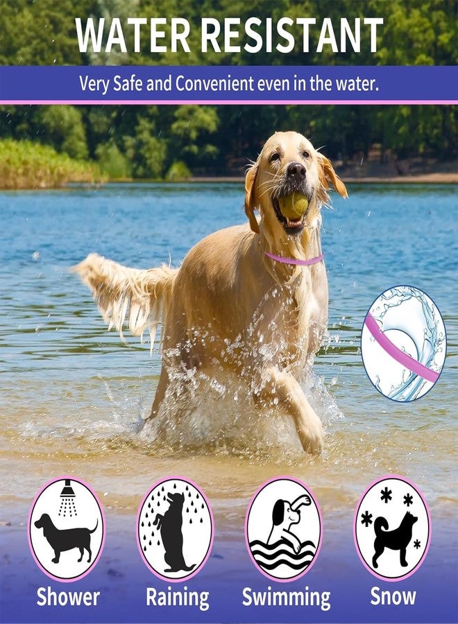 CartHome طوق مضاد للقراد للكلاب، طوق مضاد للقراد، طوق مضاد للقراد للكلاب، متين ومقاوم للماء، مناسب للاستخدام اليومي والأنشطة الخارجية للحيوانات الأليفة، مناسب كهدية لمحبي الحيوانات الأليفة (لونان، مقاس متوسط) - Image 5