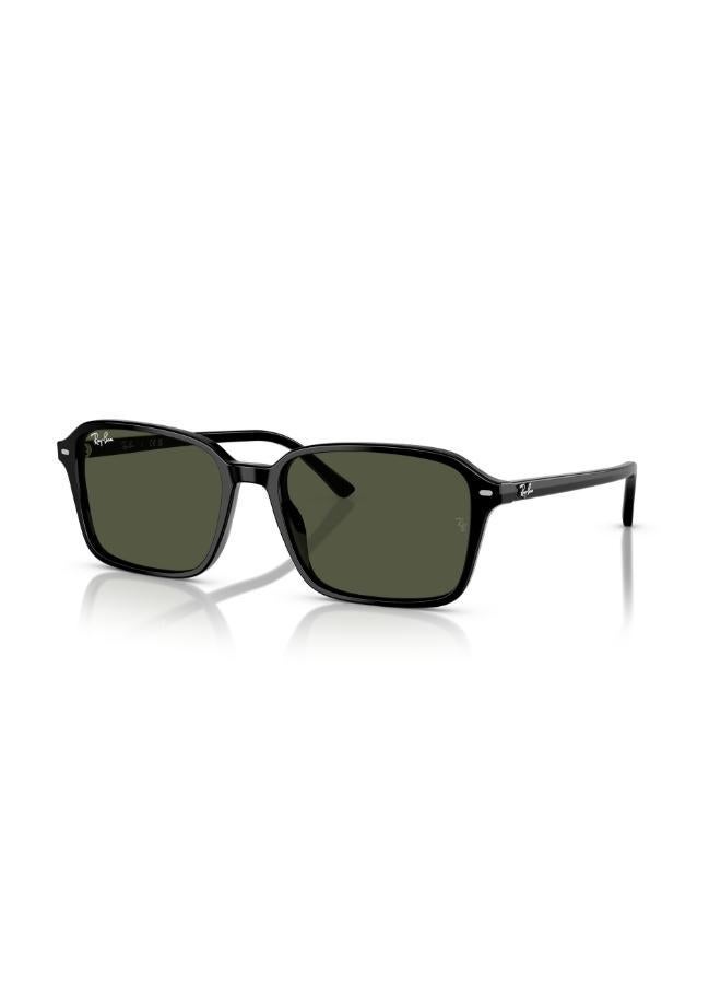 Ray-Ban 0Rb2231 Rectangular Sunglasses - Image 4