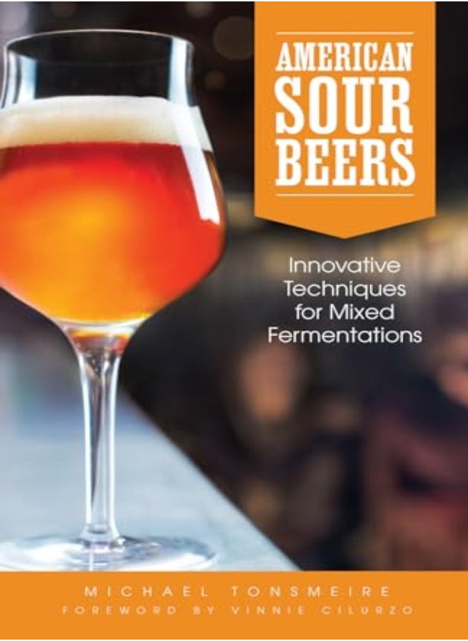 American Sour Beer 