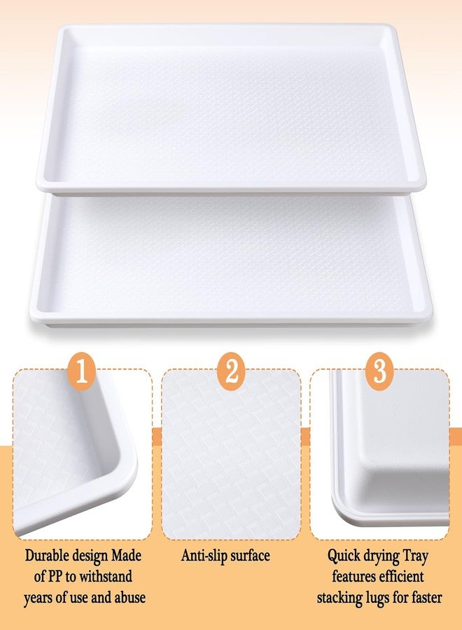 Tiangrid 2 Pcs 18 x 26 Inch Large White Plastic Tray Rectangular Plastic Serving Trays Decorative Party Platters Large Fast Food Platters for Kitchen Restaurant Buffet - Image 3