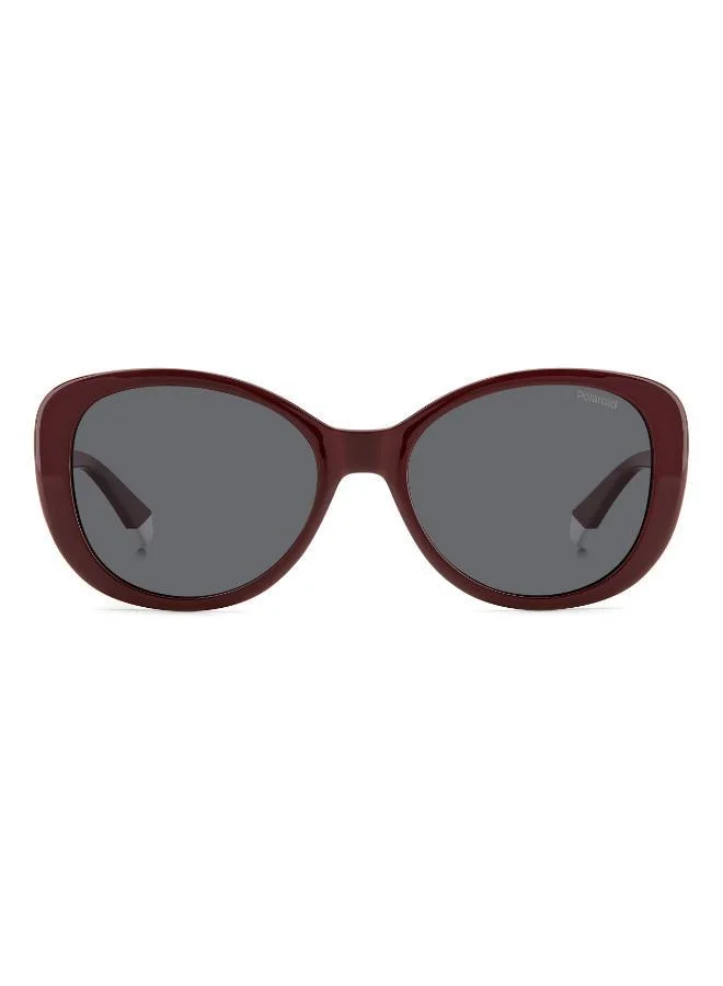 بولارويد Wayfarers Sunglasses