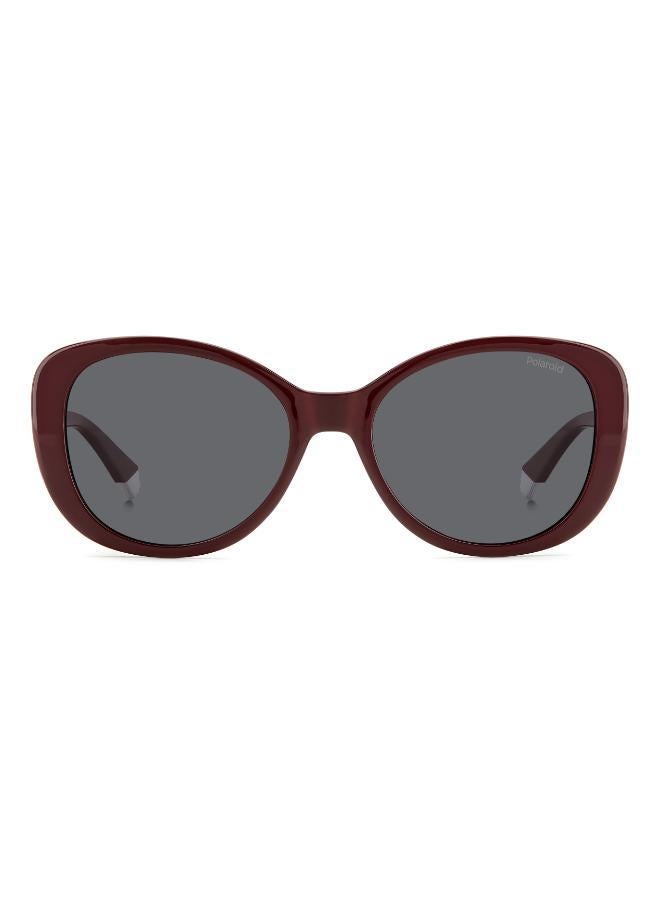 Polaroid Wayfarers Sunglasses - Image 1