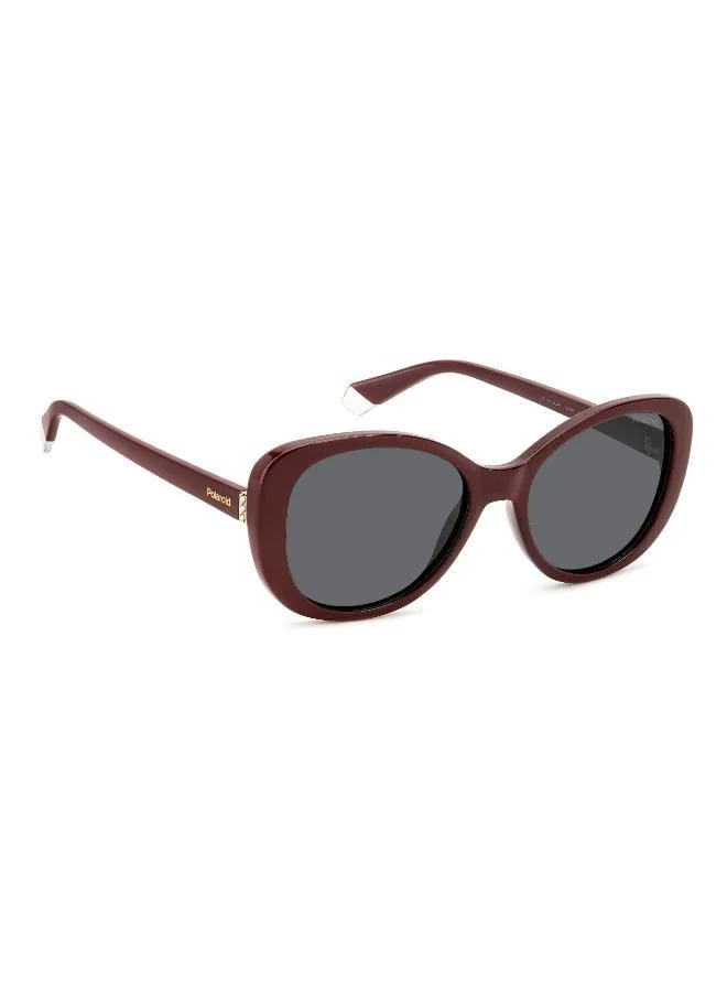 بولارويد Wayfarers Sunglasses