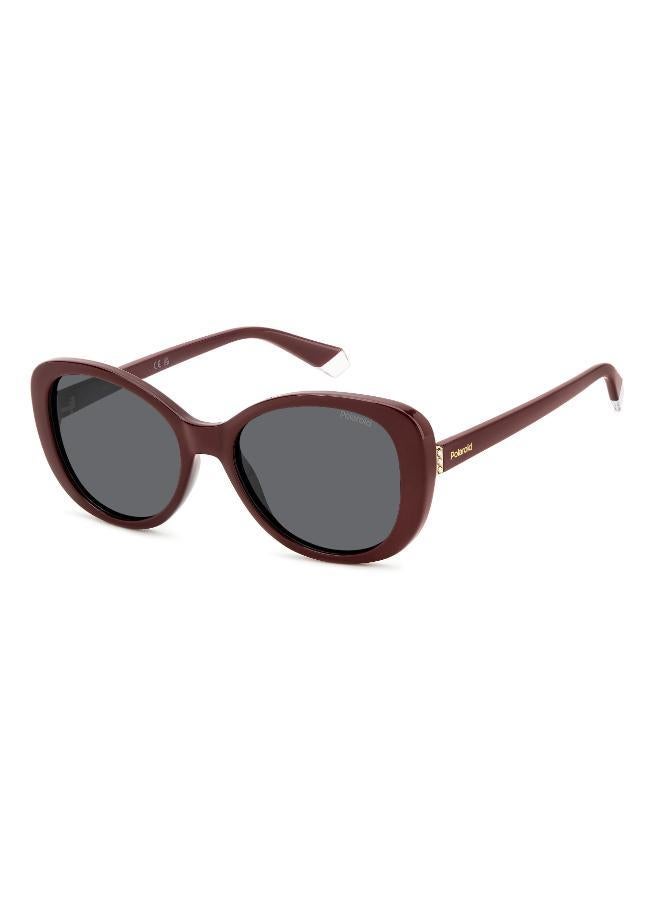 Polaroid Wayfarers Sunglasses - Image 3