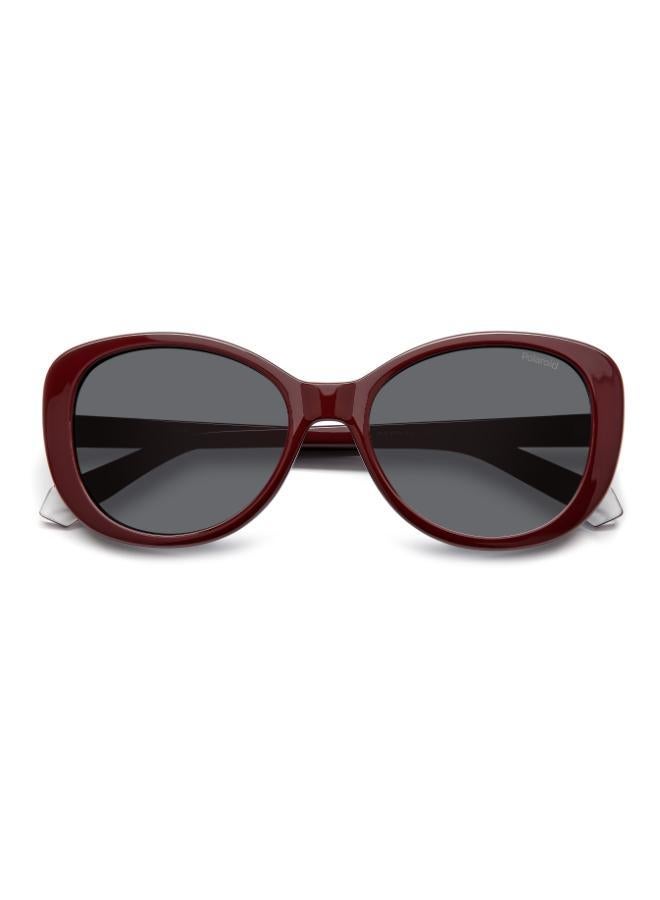Polaroid Wayfarers Sunglasses - Image 4