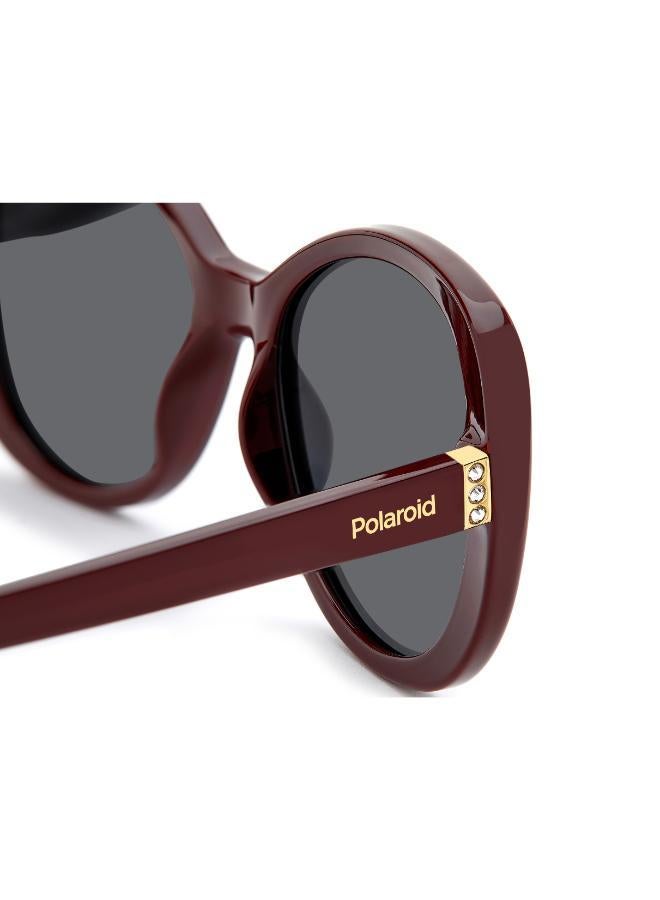 Polaroid Wayfarers Sunglasses - Image 5