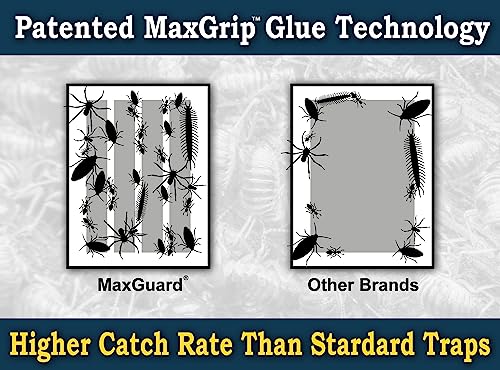 MaxGuard MaxGrip Glue Traps (24 Traps) Non-Toxic Extra Sticky Glue Board Pre-Baited with Fruity Scent Attractant Trap & Kill Insects, Bugs, Spiders, Crickets, Scorpions, Cockroaches, Centipedes, Mice - Image 4