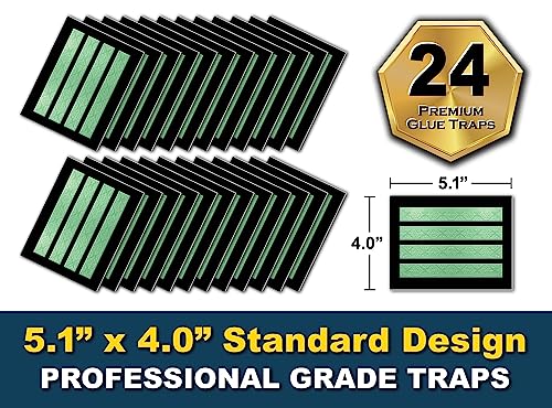 MaxGuard MaxGrip Glue Traps (24 Traps) Non-Toxic Extra Sticky Glue Board Pre-Baited with Fruity Scent Attractant Trap & Kill Insects, Bugs, Spiders, Crickets, Scorpions, Cockroaches, Centipedes, Mice - Image 3
