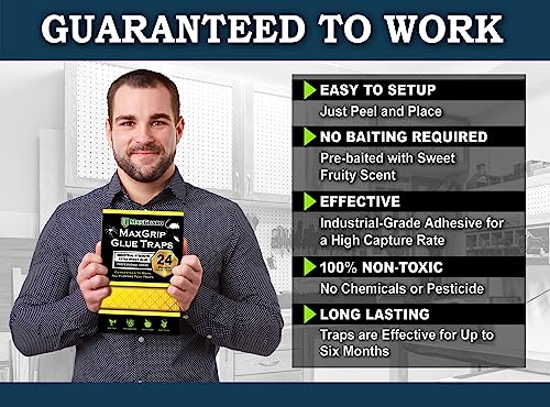 MaxGuard MaxGrip Glue Traps (24 Traps) Non-Toxic Extra Sticky Glue Board Pre-Baited with Fruity Scent Attractant Trap & Kill Insects, Bugs, Spiders, Crickets, Scorpions, Cockroaches, Centipedes, Mice - Image 2