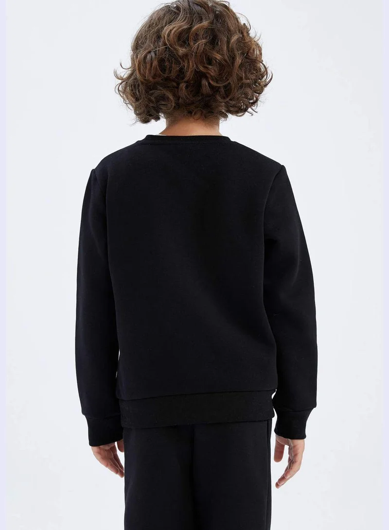 DeFacto Boy Crew Neck Long Sleeve Knitted Sweatshirt