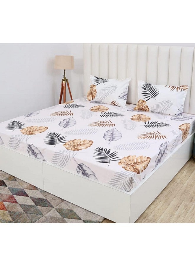 RD TREND Presents Luxurious Glace Cotton Super Soft 210 TC 360° Elastic Fitted Bedsheet Queen Size (78X60X8 Inch) with 2 Pillow Covers, Color-White - Image 5