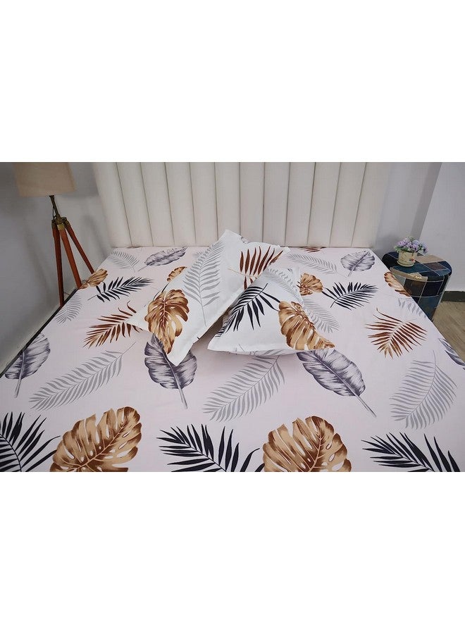 RD TREND Presents Luxurious Glace Cotton Super Soft 210 TC 360° Elastic Fitted Bedsheet Queen Size (78X60X8 Inch) with 2 Pillow Covers, Color-White - Image 4