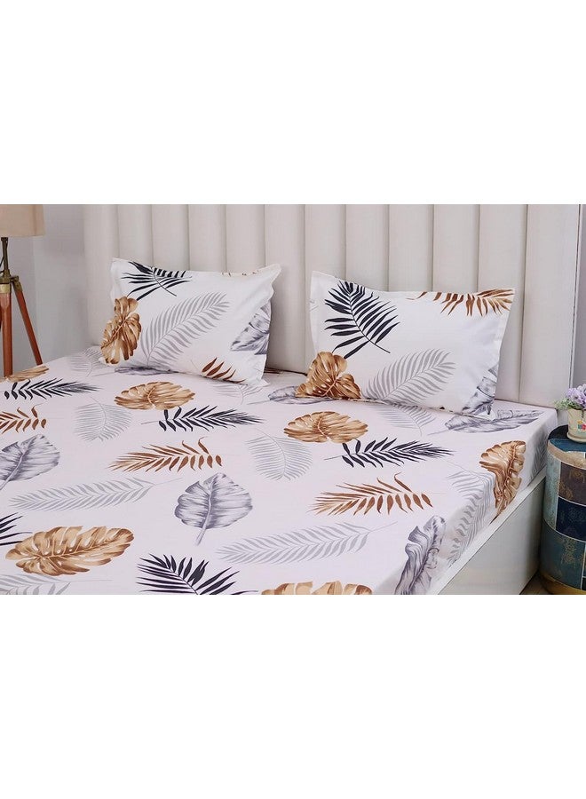 RD TREND Presents Luxurious Glace Cotton Super Soft 210 TC 360° Elastic Fitted Bedsheet Queen Size (78X60X8 Inch) with 2 Pillow Covers, Color-White - Image 3