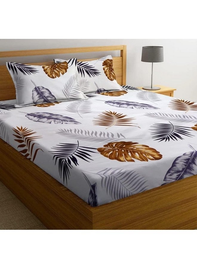 RD TREND Presents Luxurious Glace Cotton Super Soft 210 TC 360° Elastic Fitted Bedsheet Queen Size (78X60X8 Inch) with 2 Pillow Covers, Color-White - Image 1