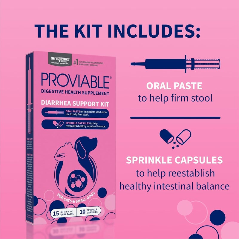 Nutramax Laboratories Nutramax Proviable Digestive Health Supplement Kit with Multi-Strain Probiotics and Prebiotics for Cats and Small Dogs, With 7-Strains of Bacteria, 15 mL Paste and 10 Capsules - Image 4